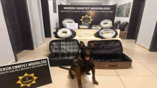 Polis tam 58 kilo 310 gram uyuşturucu hap ele geçirdi: 4 gözaltı