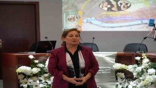 Prof. Dr. Erol: Çankırıdaki Çorakyerler fosil yatağı gibi şehir merkezinde bulunan bir fosil yatağı dünyada çok nadir bulunmaktadır