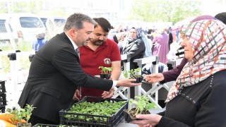 Pursaklarda yerli tohuma destek