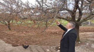 Sadıkoğlu: Verilecek destekler sadece kayısıyı değil, şehrimizin geleceğini ilgilendiriyor
