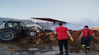 Samanlık yangını büyümeden söndürüldü