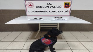 Samsunda uyuşturucu operasyonu: 1 gözaltı