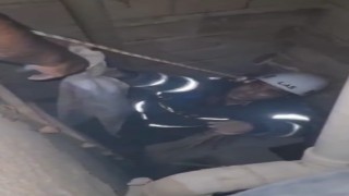Şanlıurfa´da havalandırma boşluğuna düşen 3 yavru kedi kurtarıldı