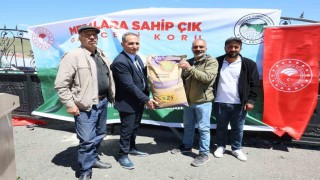 Sarıkamışta korunga tohumu dağıtıldı