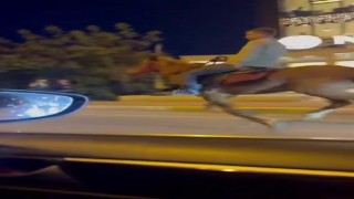 Şehrin göbeğinde dörtnala giden atı gören dönüp bir daha baktı