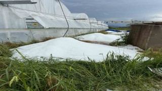 Serikte sağanak ve dolu tarım arazilerine zarar verdi