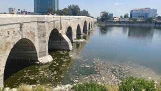 Seyhan Nehrinde kirlilik: İzmir Körfezinden bile daha kötü durumda