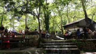 Sıcaktan kaçanlar, tabiat parkında serinledi
