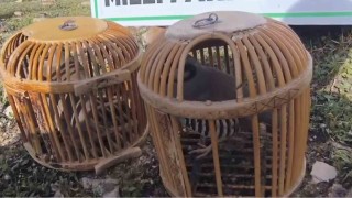 Siirtte keklik avlayan kişiye 63 bin lira ceza kesildi