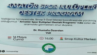 Sinopta dronlu sivrisinek ilaçlaması