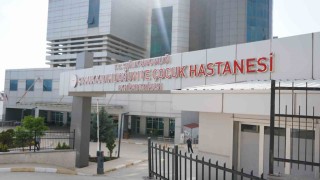 Şırnakın ebeleri anneliği anlattı