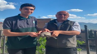 Şırnakta yaralı yaban hayvanları koruma altına alındı