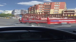 Siverekte tepki çeken görüntü