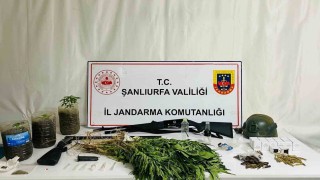 Siverekte uyuşturucu operasyonu: 42 gözaltı