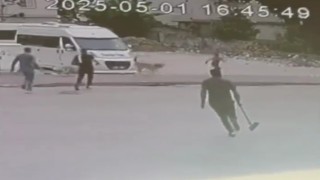 Sokak köpekleri çocuğa saldırdı