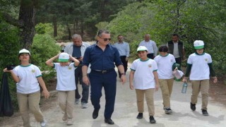 Somada ormanlar tertemiz oldu
