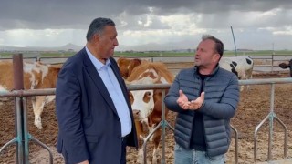 Süt Üreticileri Alarm Veriyor: Yem Fiyatı Arttı, Süt Fiyatı Yetersiz Kaldı