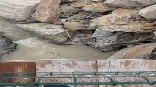 Tağar Çayında su samurları görüntülendi
