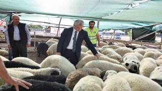 Tahmazoğlu kurban fiyatlarını açıkladı