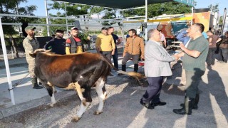 Talasta kurban pazarına başvurular başladı