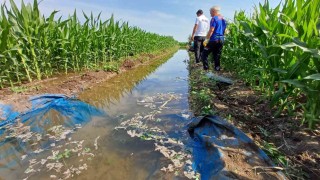 Tarla sulamaya gitti ölü olarak bulundu