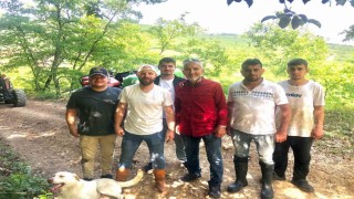 Tarlada çalışırken buldukları yavru karacalar için seferber oldular