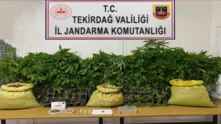 Tekirdağda jandarmadan uyuşturucu operasyonları: Çok sayıda madde ele geçirildi