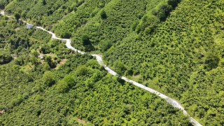 Termede beton yol çalışması