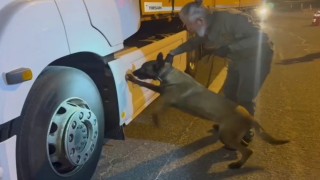 Tırdaki 5,5 kilogram uyuşturucuyu Viva buldu