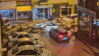 Tokatta gece başlayan yayla göçü dronla görüntülendi