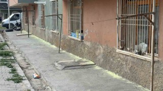 Tokatta iki kadının fare kovma yöntemi apartman sakinlerini hastanelik etti