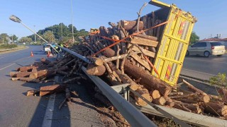 Tomruk yüklü kamyon bariyerleri aşıp refüje devrildi