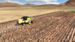 TÜİK: Mart 2025’te Tarım Girdi Fiyat Endeksi Yıllık %29,73 Arttı