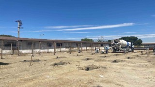 Turgutlu Belediyesinden sahipsiz can dostların yaşam şartlarını iyileştirecek çalışma