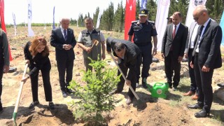 Türkiyede 81 İlde 81 Orman projesi kapsamında 81 ilde 2,2 milyon fidan toprakla buluşacak