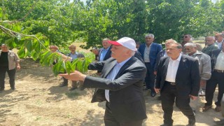 TZOB Başkanı Bayraktar: 65 vilayetimizde büyük bir zirai don felaketi ile karşı karşıya kaldık