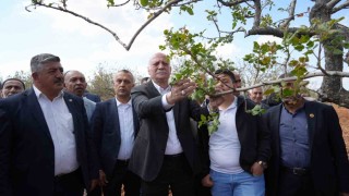 TZOB Genel Başkanı Bayraktar, Gaziantepte dondan etkilenen bahçeleri inceledi