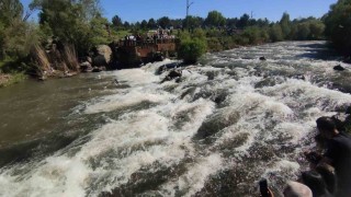 Uçan balıkların muhteşem görsel şöleni başladı