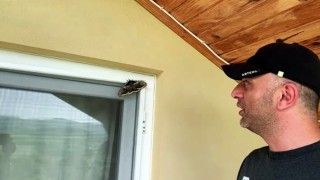 Ünlü ressam Vincent Van Goghun ilham kaynağı Sakaryada görüldü