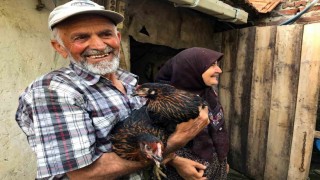 Üreticiye yüzde 50 hibeli yumurta tavuğu desteği