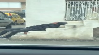 Uyuşturucu bağımlısı merdivenlerde sızıp kaldı