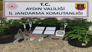 Uzaktan kontrolle metruk binada uyuşturucu yetiştirdi