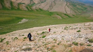 Uzmanlardan heliz otu ve mantar zehirlenmesi uyarısı