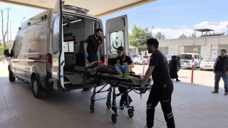 Üzüm yaprağı toplarken çatıdan düştü