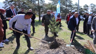 Üzümlüde fidanlar toprakla buluştu