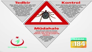 Vakaların arttığı keneye karşı alınabilecek önlemler