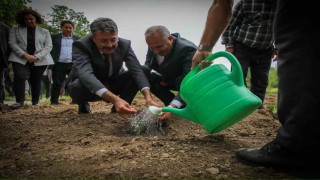 Vali Ali Çelik: Bu toprakları birlikte yeşerteceğiz