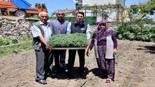 Vali Aygöl yarım asırlık evli Tekin ailesine misafir oldu