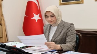 Vali Yiğitbaşı, Bakan Yerlikaya ile video konferans ile görüştü