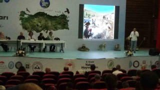 Van Gölünün oluşumu ve inci kefalinin mücadelesi